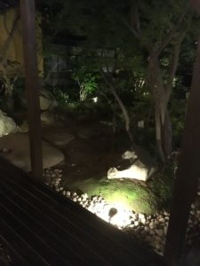 夜の中庭の写真